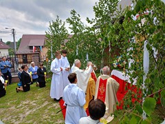 IMG20230608121407