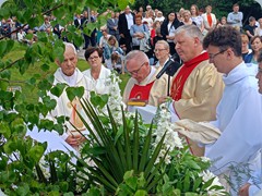 IMG20230608123740