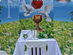IMG20230608131811